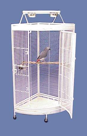 Image showcasing Cages for your Jardine Parrot – Paco Parrot's Blog